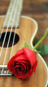 Red Guitar Wallpapers Top Free Red Guitar Backgrounds Wallpaperaccess Feel free to post anything related to acoustic guitar including: red guitar wallpapers top free red
