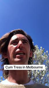 Cum Trees in Melbourne: A Springtime Overview