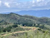 Nature Preserve Walk at Taft Gardens