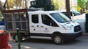 Tamer Dalkilic Adli Kullanicinin Hayvan Ambulansi Kedi Kopek Tasima Araclari Panosundaki Pin Kedi Kopek Kopek Kedi
