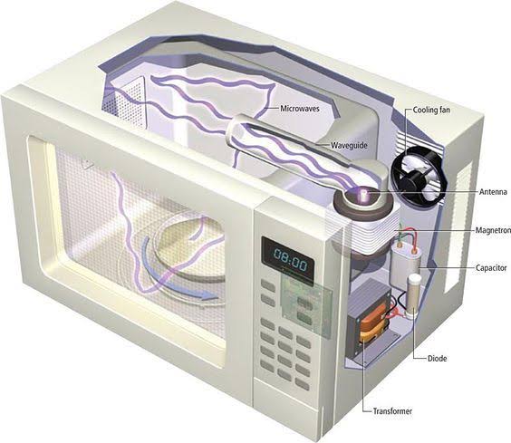 Microwave oven internal components diagram explained