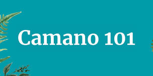 Camano 101