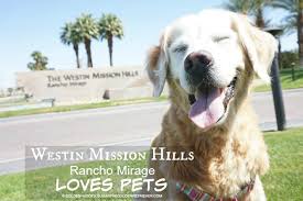 Our golden pups have done well with airline travel, and the airport personnel at our local airport (cle) go out of their way to make sure the pups get proper care and attention before their flight. Westin Mission Hills Resort Pets Golden Woofs
