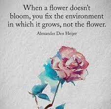 We did not find results for: Image Result For The Sun And Her Flowers Quotes Schlaue Spruche Inspirierende Spruche Worter