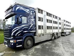 Transportul animalelor de companie, in general, caini si pisici, este la un moment dat o necesitate. Scania R730 V8 Animal Transport For Pigs Or Bovines Livestock Truck For Sale Poland Chodziez Lb25156