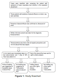 Diagnostic Accuracy Of A Drop Hydrogen Peroxide Test To Differen