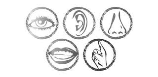 From tricky riddles to u.s. Take The Common Sense Quiz Proprofs Quiz