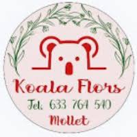 Koala Flors