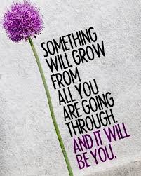 Free Your Mind And Think On Instagram Just A Reminder C Reddit Lookwithin Reflectio In 2020 Positive Quotes For Work Positive Quotes Friday Quotes Funny