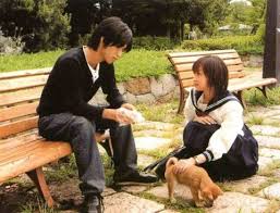Ichi rittoru No namida (J-Drama) | 錦戸亮, ドラマ映画, 錦戸