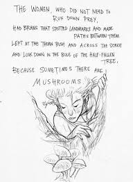 Chris Riddell Mushroom Hunter Neil Gaiman Gaiman