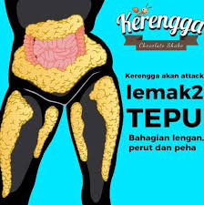 The kerengga chocolate shake tastes like milo! Nak Kurus Dan Lentik Macam Kerengga Cuba Ni Lovely Bee