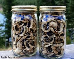 Or, place on a clean plate in front of a gently blowing fan. How To Dry Mushrooms For Storage Dehydrating Mushrooms