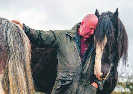 See more of clydesdale horses of north america on facebook. Farm Appeal To Save Working Class Hero Clydesdale Horses The Scotsman