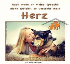 Die 315 Besten Bilder Von Schööön Daß Es So Treue Wegbegleiter Gibt
