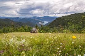 Check spelling or type a new query. Nacionalni Park Tara Turistichka OrganizaciÑ˜a Tara Drina