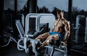 Os segredos nos calçados que transformam. Wallpaper Power Workout Gym Bodybuilder Images For Desktop Section Muzhchiny Download