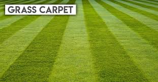 Major league lawn care.call your lawn up to the major league. Time To Mow