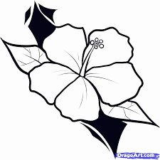 They reach out like tentacles across the back and reaching out to the shoulders. Outline Hawaiian Flower Tattoo Design Coloring Home