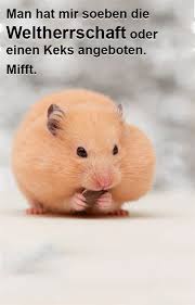 Einen Tollen Start In Die Woche Wunscht Gloryfeel De