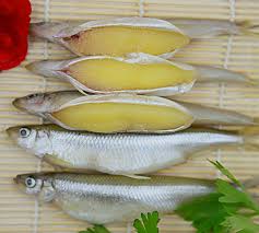 For faster navigation, this iframe is preloading the wikiwand page for 胡瓜鱼. é±¼çš„åˆ†ç±»ä¸‰ èµ„è®¯å'–