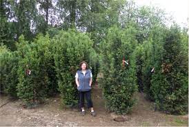 Maybe you would like to learn more about one of these? Instant Privacy Tree Landing Page