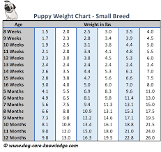 Cogent Puppy Food Weight Chart Puppy Feeding Schedule Chart
