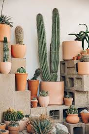 For one, cactus is a scientific term. Tendance Terracotta Comment Adopter La Couleur Terre Cuite Chez Soi Cactus Plants Plants Cactus