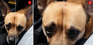 What's the difference between jpg vs jpeg? Klein Aber Oho Bild Komprimierung Und Bildqualitat Viaprinto Blog Alles Uber Den Druck