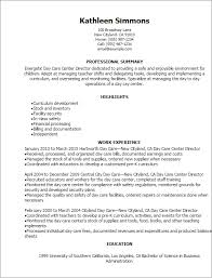 1 day care center director resume