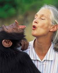 The Jane Goodall Institute...