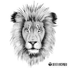 Lion Portrait Pencil Drawing Print Majdas Art Lion Head Drawing Lion Painting Animal Drawings Sketches