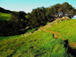 Bishop Peak San Luis Obispo Open Bike Slo County Your Guide To Navigating The Terrain San Luis Obispo California Coast San Luis Obispo County