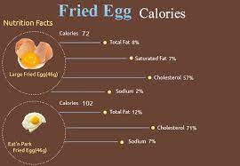 You can never go wrong with a healthy egg breakfast dish; Egg Calories