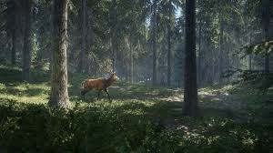 Check spelling or type a new query. Kaufen Thehunter Call Of The Wild Steam