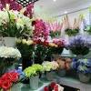 International silk flowers is the highly rated artificial plant supplier. Https Encrypted Tbn0 Gstatic Com Images Q Tbn And9gcqwmcl Fqqmtric5a Awfpul V5qcwpi88kfkxboku Wuihoeru Usqp Cau