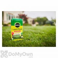 The powder in the packets must be dissolved in water before applying it to the grass. Miracle Gro Water Soluble Lawn Food