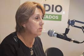 Diputados: Liliana Salinas explicó su proyecto de índice salarial