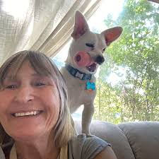 TOP 10 BEST Podiatrists in Rio Rancho, NM