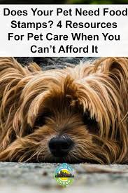Does Your Pet Need Food Stamps 4 Resources For Pet Care When You Can T Afford It Living On The Cheap In 2020 Pet Care Pets Cheap Pets