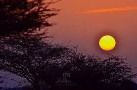 شبكة أجواء جمال الصباح ليس في شروق الشمس فحسب بل في وجود قلوب طيبة تحمل في داخلها كل معانى الحب والوفاء تصوير سعيد instagram posts instagram celestial