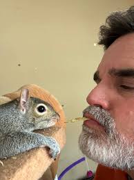 Won't someone think of the squirrels???