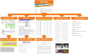Organizational Structure Of Carrotdb Web Pages Download