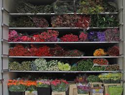 The aution starts at 6am every workday. Top Challenges Facing Floral Industry Super Floral