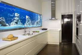 looking for ideas for a wall aquarium in wall aquarium wall aquarium kitchen design