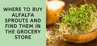 This kollu is main food for horse. Where To Buy Alfalfa Sprouts And Find Them In The Grocery Store 2021
