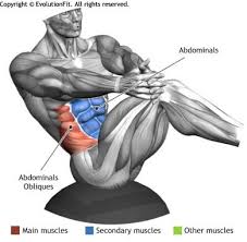 If the correct technique is followed, the following muscle groups work: Abdominals Russian Twist On Bosu Abs Workout Exercise Men S Health Fitness