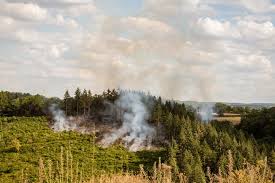 Incendie, avc, noyade, ils ont tous failli perdre la vie. Un Incendie En Cours Dans Une Foret De Sapins Situee A Proximite Des Cotes De Chatelard Allier Un Autre Maitrise A Urcay Montlucon 03100