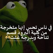 Pin On Kermit الضفدع كامل