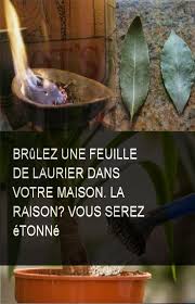 Brulez Une Feuille De Laurier Dans Votre Maison La Raison Vous Serez Etonne Laurier Maison Votremaison Raison Brulez Et Hygiene Purification Vegetables